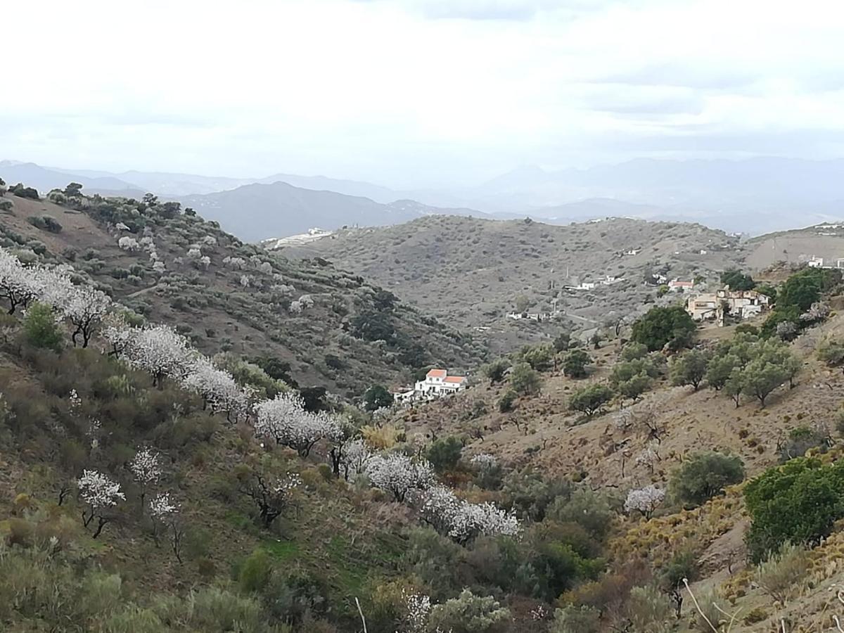Casa Aguila 2.0 Bed & Breakfast Los Valverde Dış mekan fotoğraf