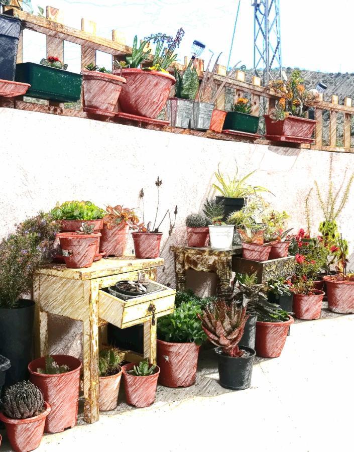 Casa Aguila 2.0 Bed & Breakfast Los Valverde Dış mekan fotoğraf